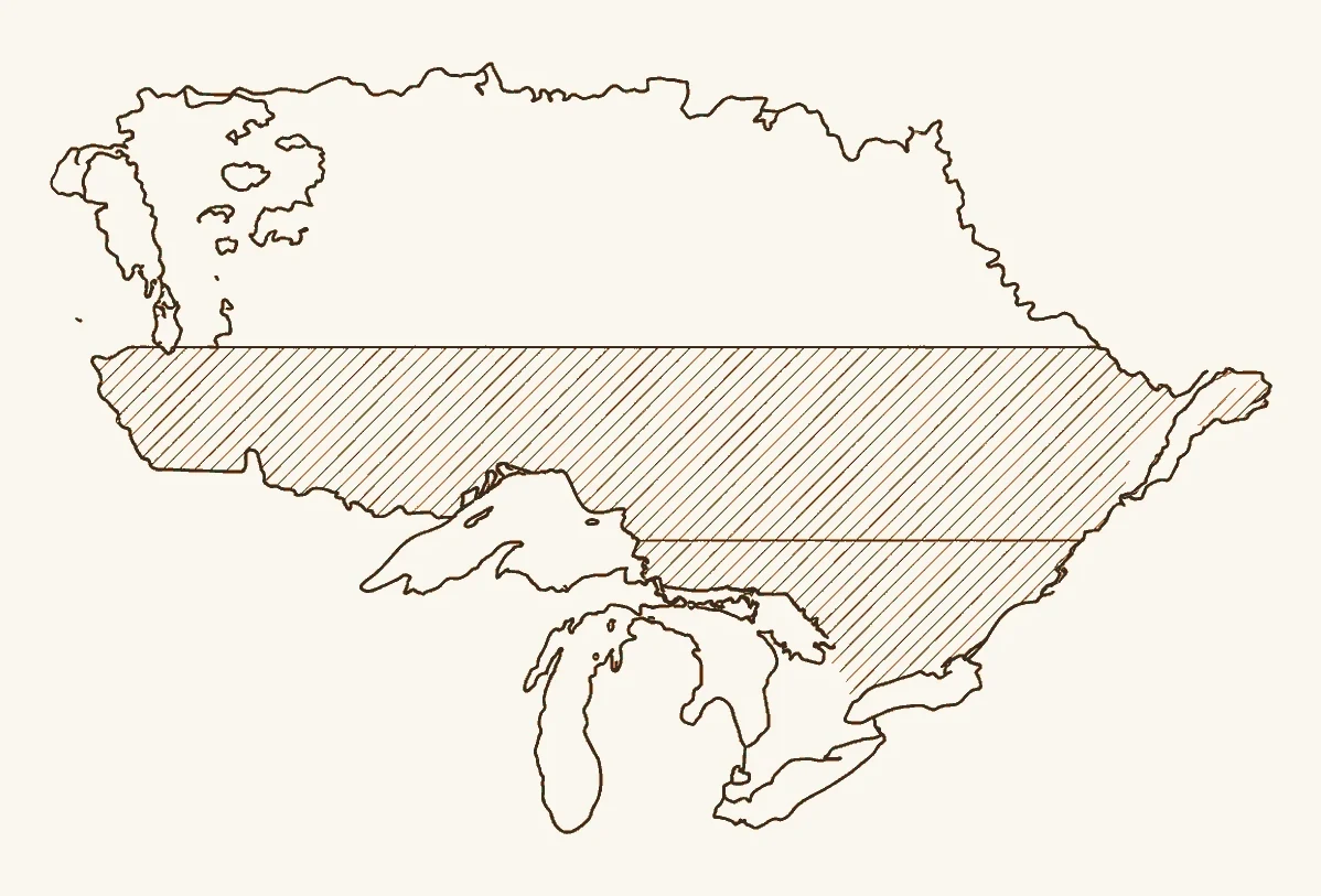 A simplified map of Ontario with the southern deciduous and Great Lakes–St. Lawrence forest regions distinguished from the boreal forest to the north, showing where the tolerant hardwoods grow.